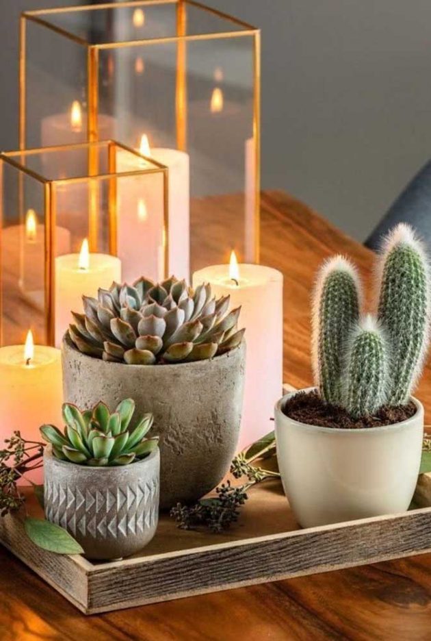 How To Choose The Perfect Pot For Succulents