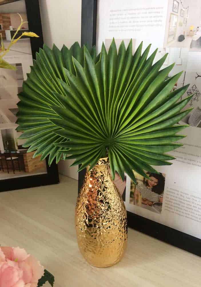 How To Take Care Of Fan Palm Tree How To Take Care Of Fan Palm Tree