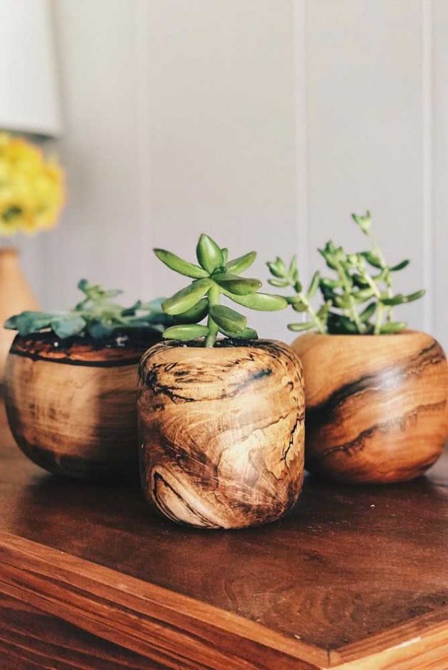 Wooden Vase - How To Take Care of, Tips And Inspiring Photos