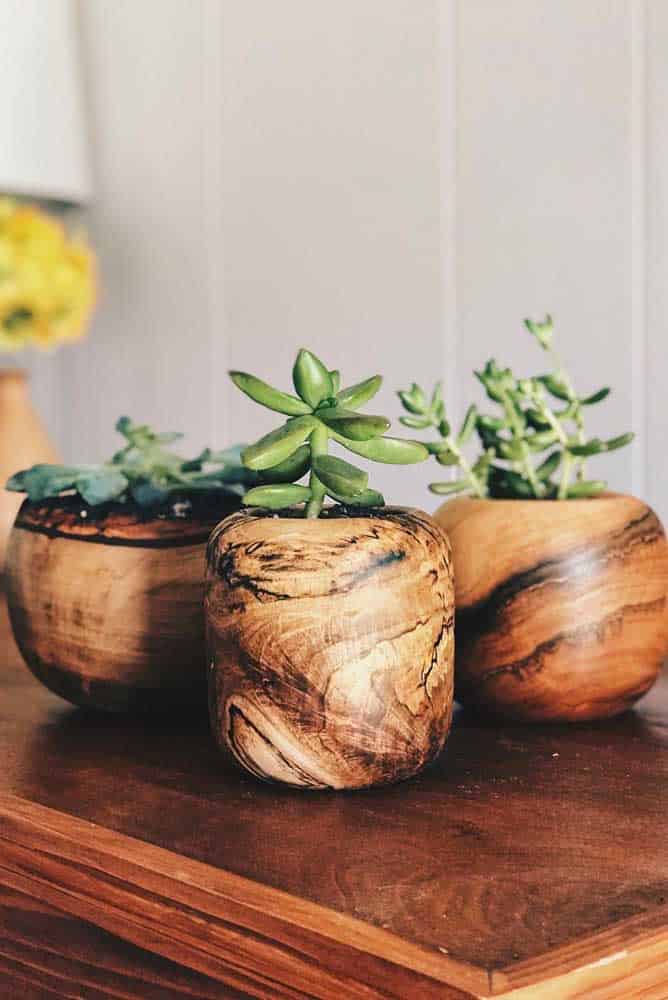 Wooden Vase - How To Take Care of, Tips And Inspiring Photos Wooden Vase - How To Take Care of, Tips And Inspiring Photos