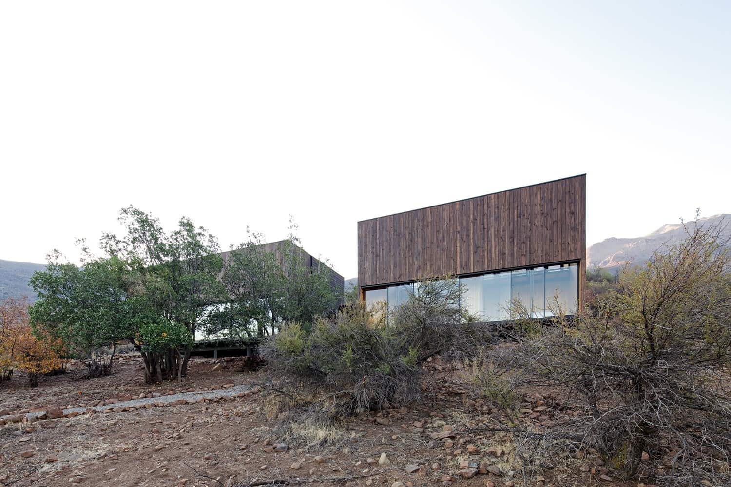 Contemporary modern houses with minimalist design in a desert landscape featuring natural wood finishes and large windows, blending architecture with nature.