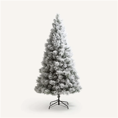 Christmas Trees You'll Be Happy To Decorate This Winter