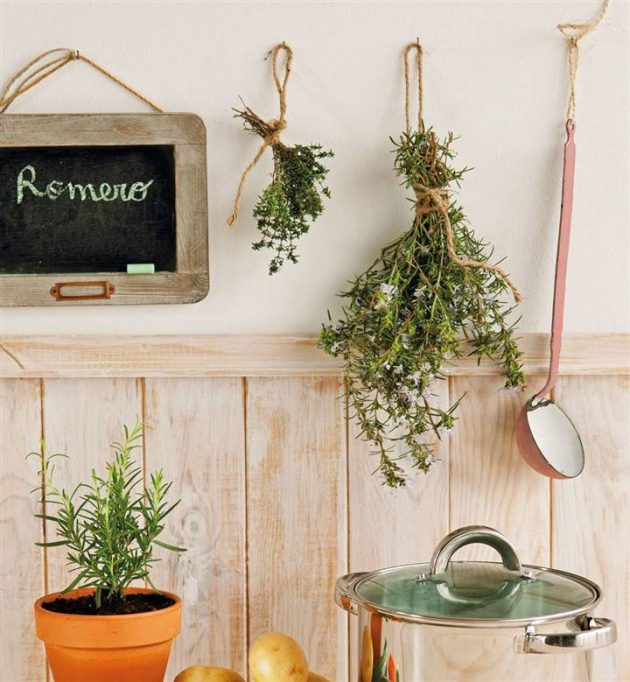 The Indoor Plants You Should Have At Home In The Following Year