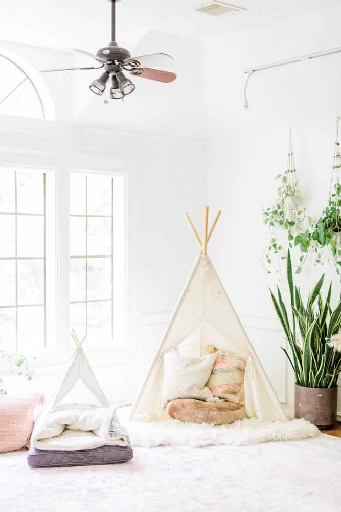 How To Choose The Ideal Dog Bed How To Choose The Ideal Dog Bed