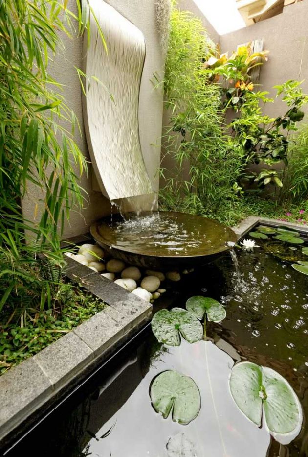 Tips On How To Set The Ideal Garden Pond