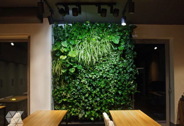 Biophilic Design - A Truly Refreshing Home Décor Direction
