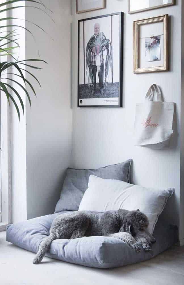 How To Choose The Ideal Dog Bed How To Choose The Ideal Dog Bed