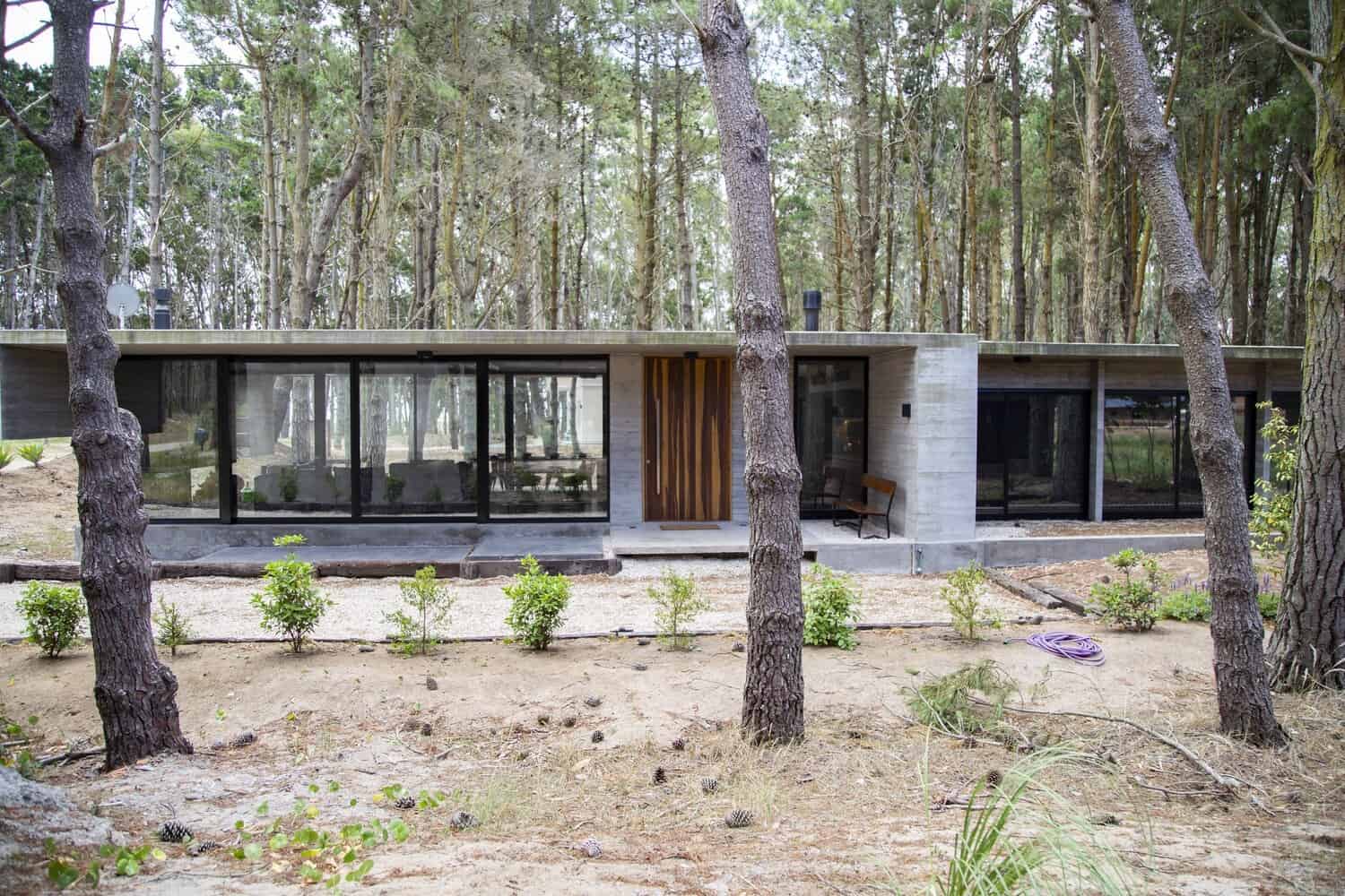 Modern minimalist house with concrete walls and large glass windows nestled in a pine forest, showcasing contemporary architecture with natural materials and seamless indoor-outdoor living design.