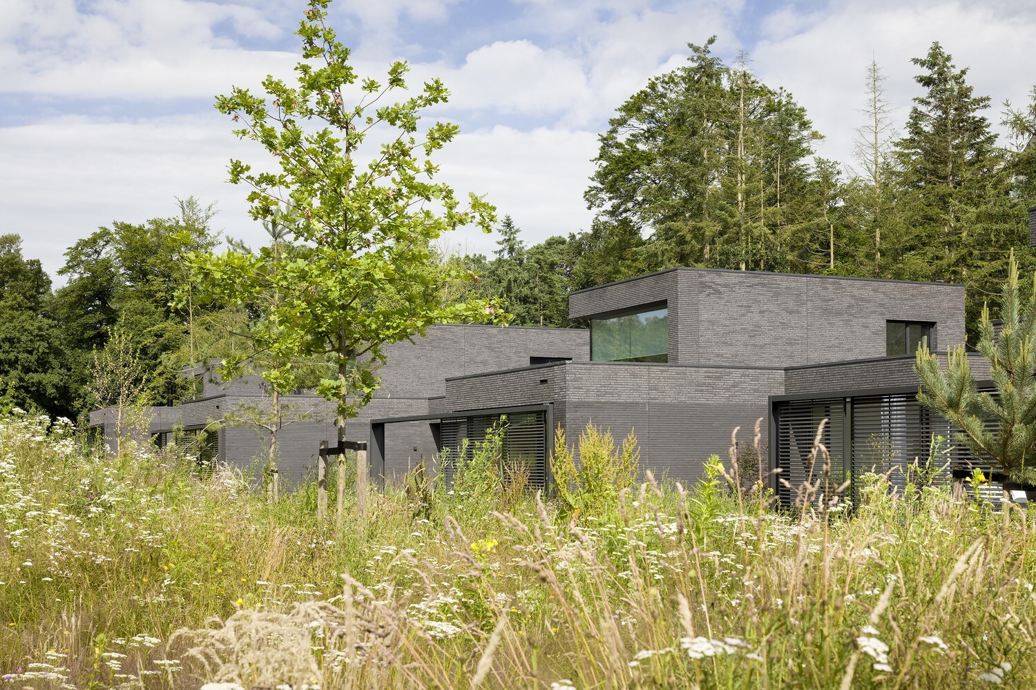 Forest Patio Villas by wUrck in Zeist, The Netherlands Forest Patio Villas by wUrck in Zeist, The Netherlands