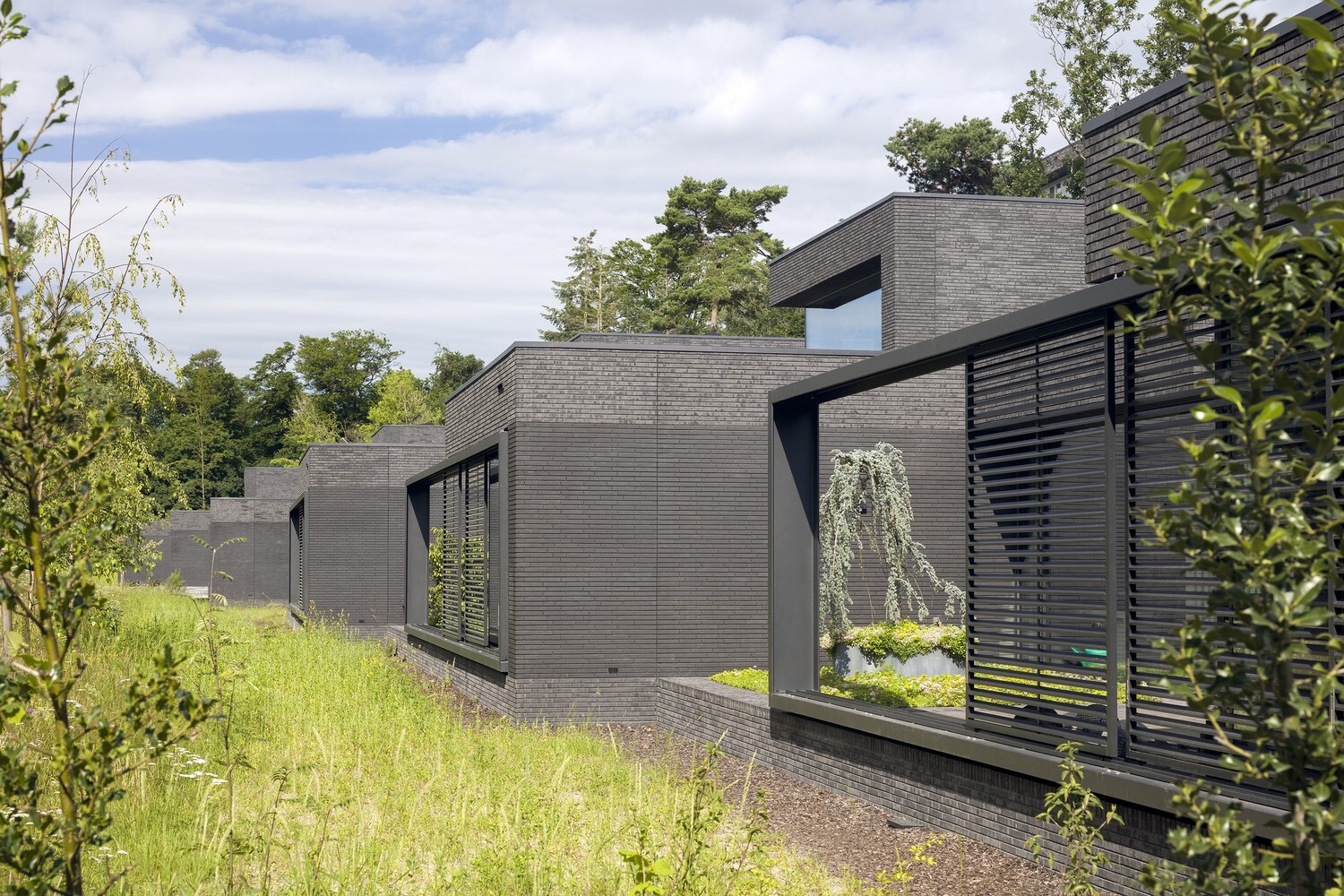 Forest Patio Villas by wUrck in Zeist, The Netherlands Forest Patio Villas by wUrck in Zeist, The Netherlands