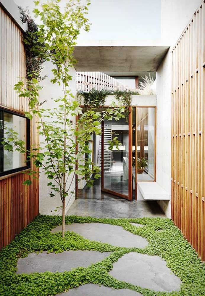 Simple Winter Garden