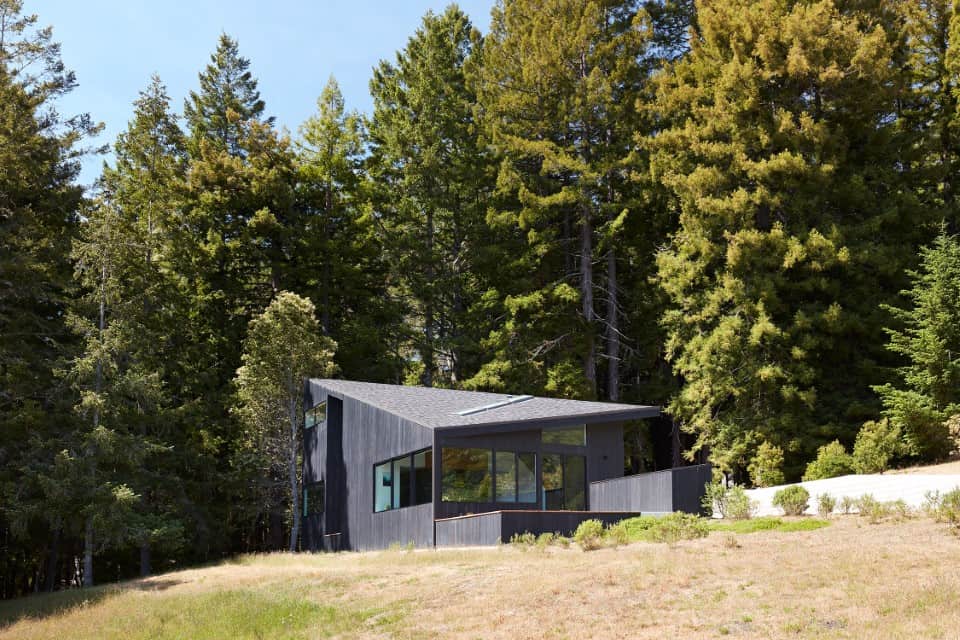 Modern black house nestled among tall green trees in an eco-friendly forest setting, showcasing contemporary architectural design, large windows, and sustainable living features.