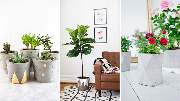 15 Awesome DIY Concrete Planter Ideas You Must Try