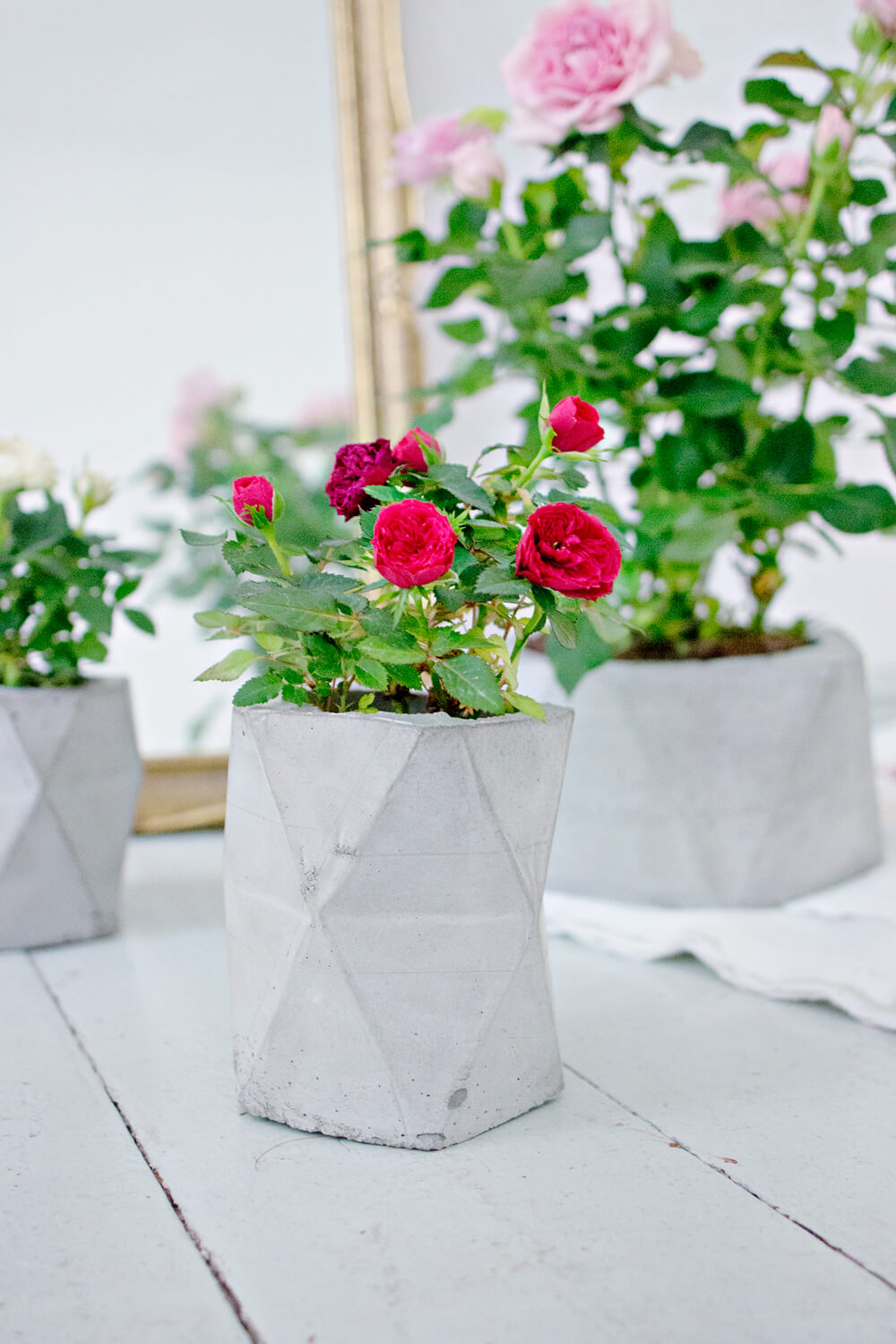 15 Awesome DIY Concrete Planter Ideas You Must Try