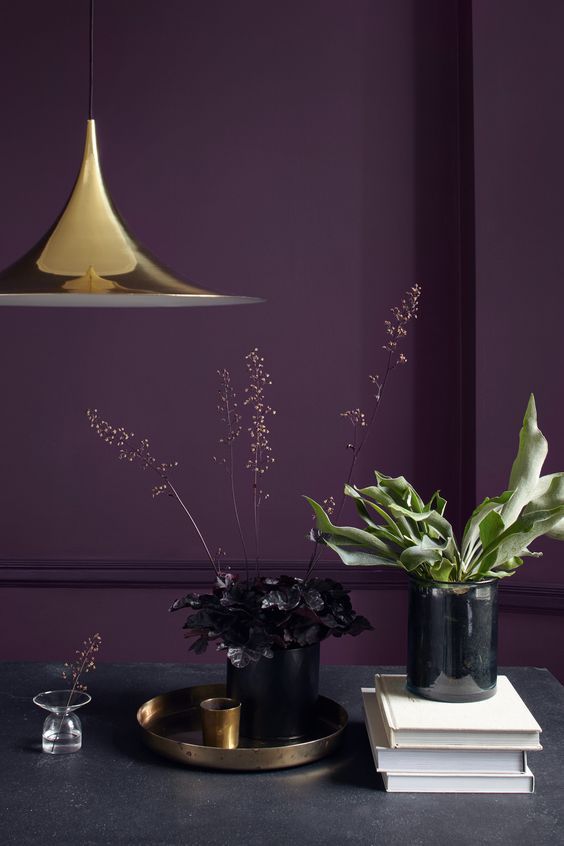Meaning Of Violet Color And Combination Tips
