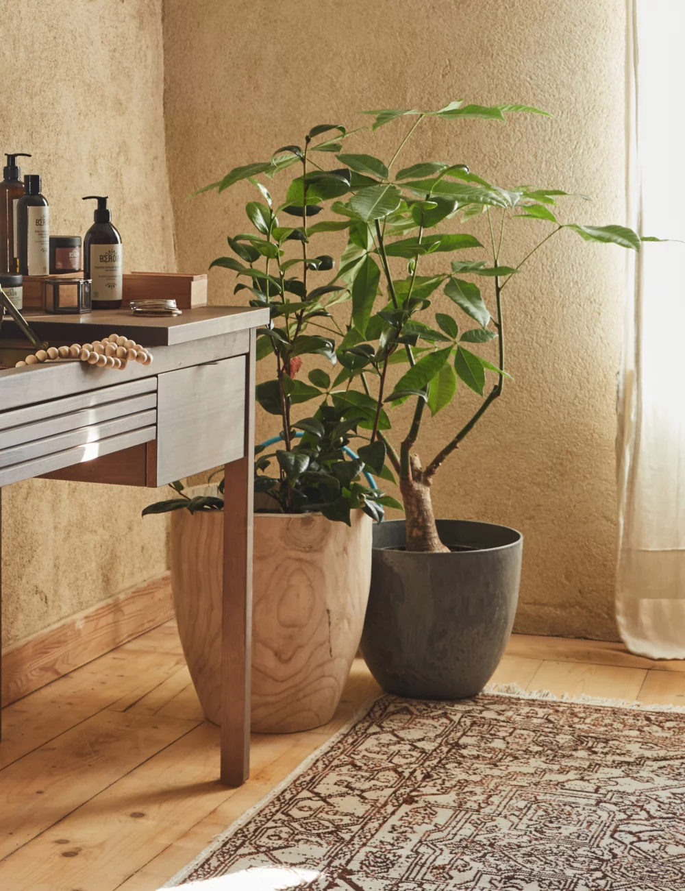 Cachepots To Enhance Your Place