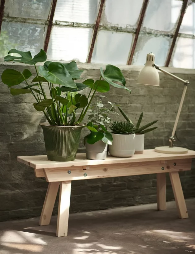 Cachepots To Enhance Your Place