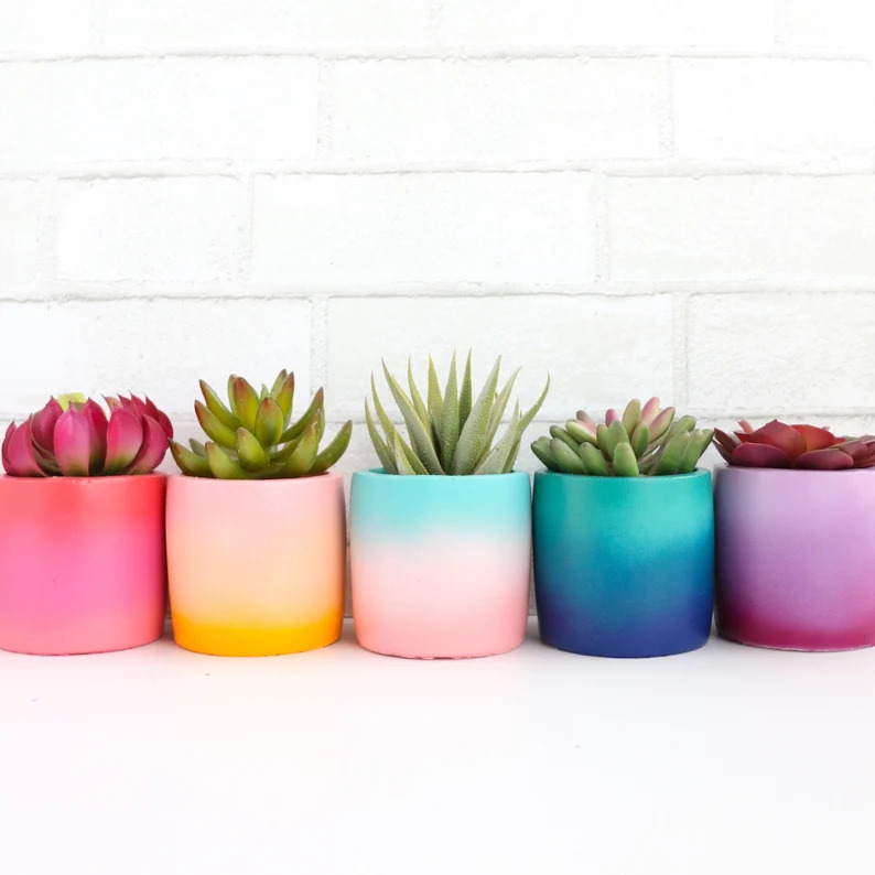 15 Cheerful & Colorful Planter Designs Perfect For Spring