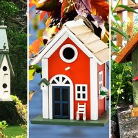 16 Beautiful Birdhouse Designs That Will Invite The Bird Song To Your Garden