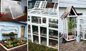 15 Simple DIY Green House Projects That Will Get You Started