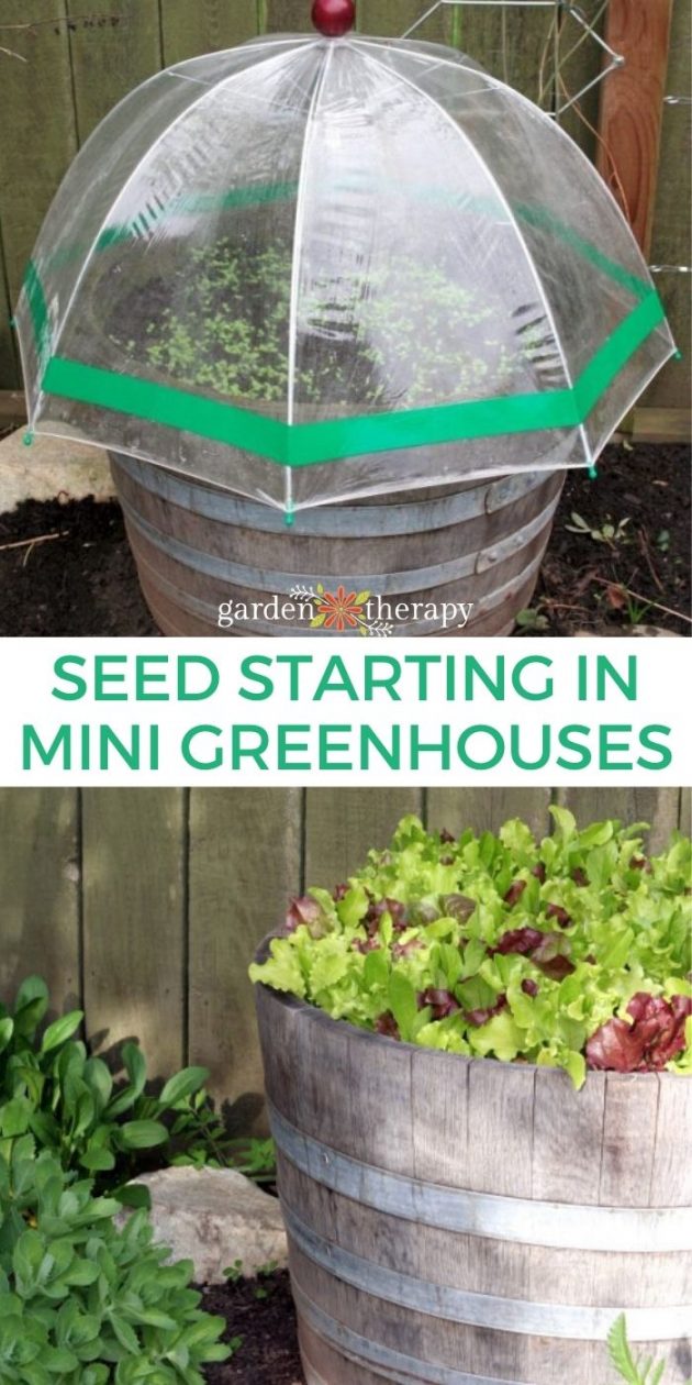 15 Simple DIY Green House Projects That Will Get You Started