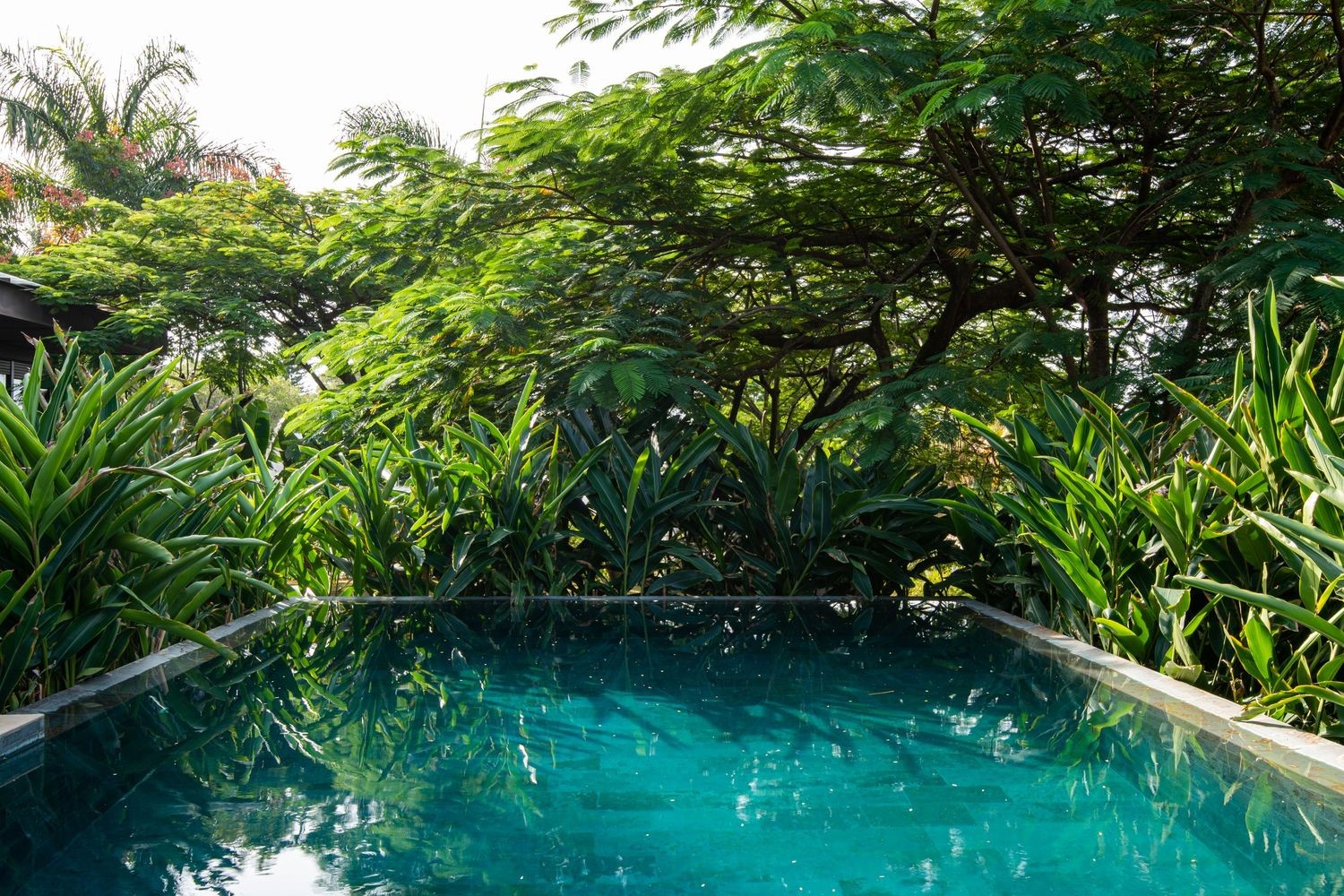 Tree House by Sala 03 Arquitetura: A Contemporary Residence Immersed in Nature Tree House by Sala 03 Arquitetura: A Contemporary Residence Immersed in Nature