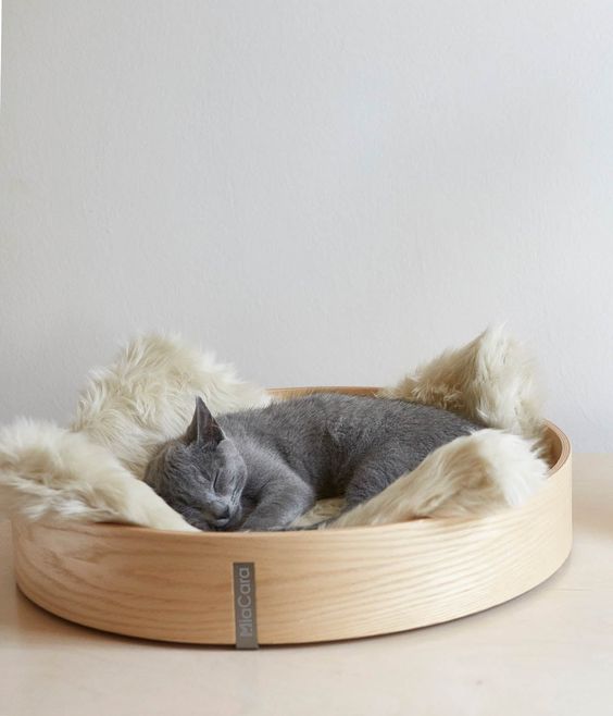 The Design Cat Basket For Your Cat