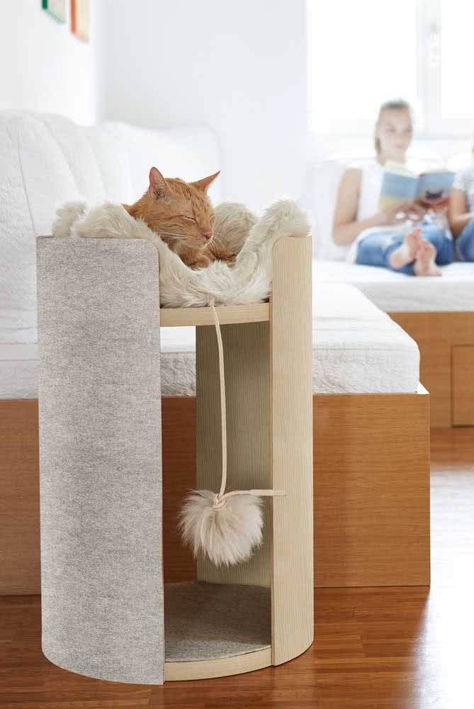 Beautiful Ideas For Cat Furniture Beautiful Ideas For Cat Furniture