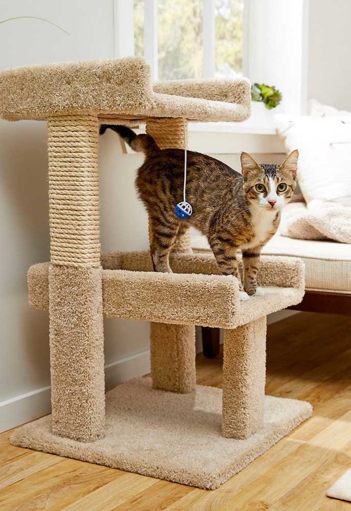 Beautiful Ideas For Cat Furniture Beautiful Ideas For Cat Furniture