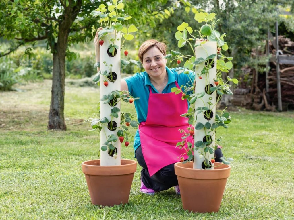 15 DIY Strawberry Planter Ideas To Grow Your Fresh Summer Delights