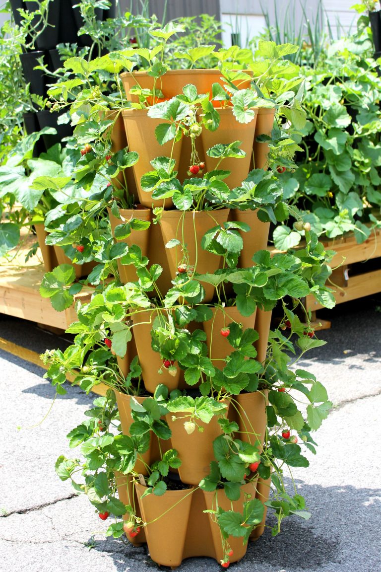 15 DIY Strawberry Planter Ideas To Grow Your Fresh Summer Delights