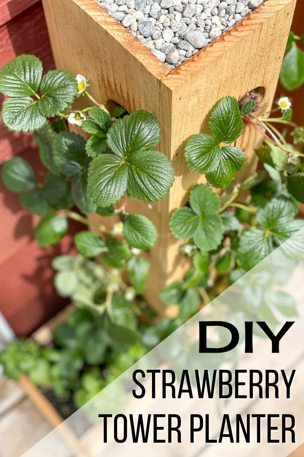 15 DIY Strawberry Planter Ideas To Grow Your Fresh Summer Delights