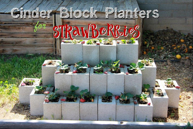 15 DIY Strawberry Planter Ideas To Grow Your Fresh Summer Delights