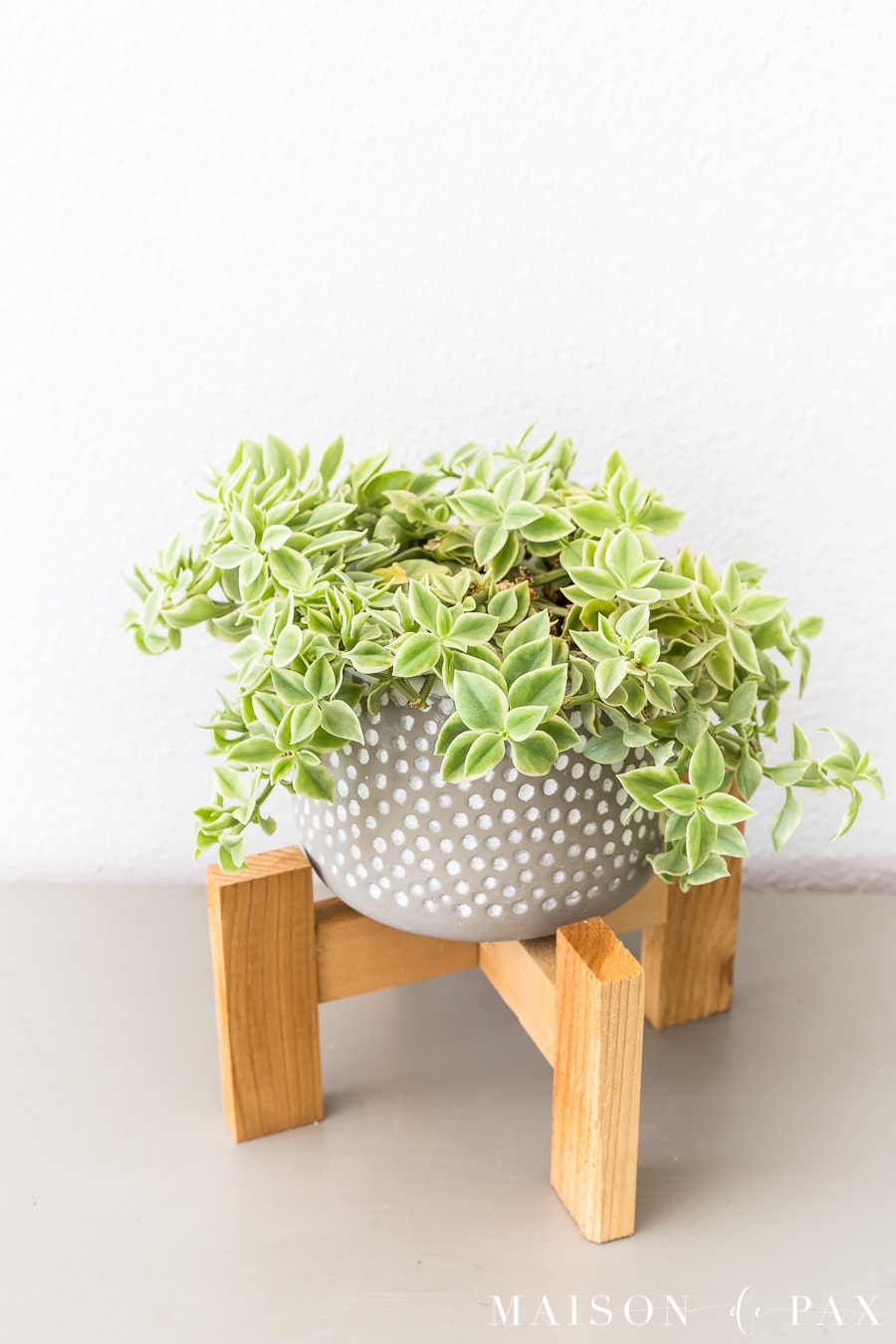15 Magnificent DIY Plant Stand Projects You Must Attempt