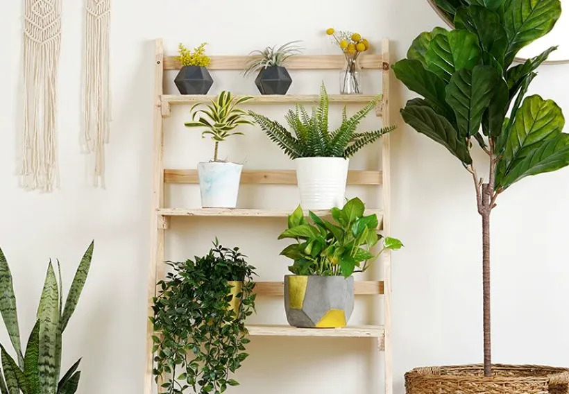 15 Magnificent DIY Plant Stand Projects You Must Attempt