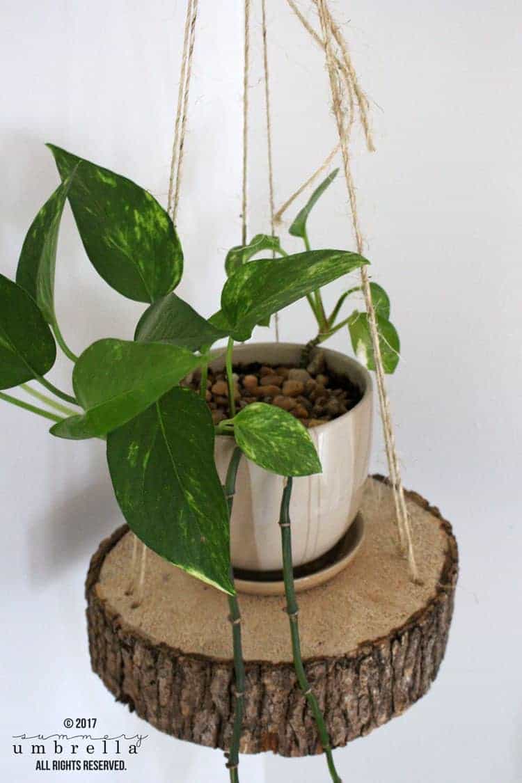 16 Chic DIY Plant Hanger Ideas For Any Space