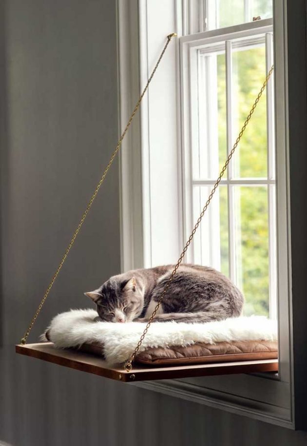 Beautiful Ideas For Cat Furniture