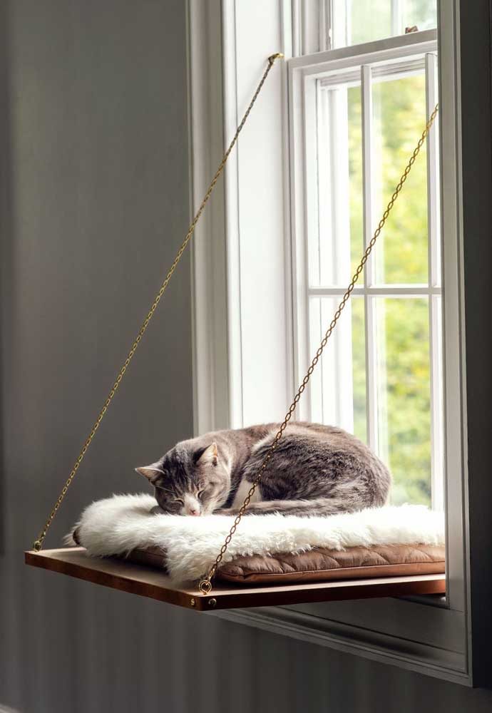 Beautiful Ideas For Cat Furniture Beautiful Ideas For Cat Furniture