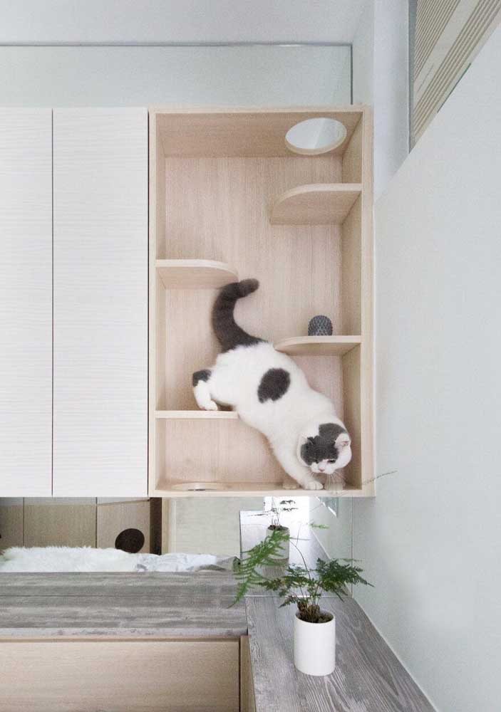 Beautiful Ideas For Cat Furniture Beautiful Ideas For Cat Furniture