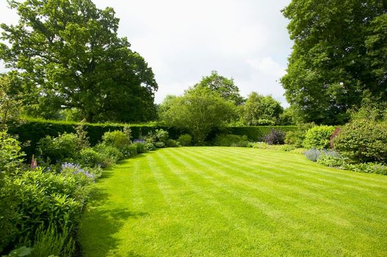 4 Ways to Use Landscaping to Increase Your Homes Energy Efficiency