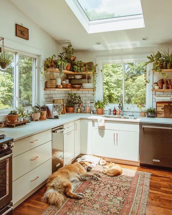 How To Create The Coziest Bohemian Kitchen?