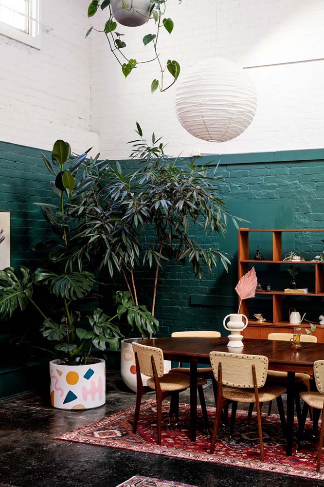 Tips For Having Green Coating In Your Home Tips For Having Green Coating In Your Home