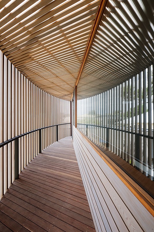 Henley Street House by Jackson Clements Burrows in Australia