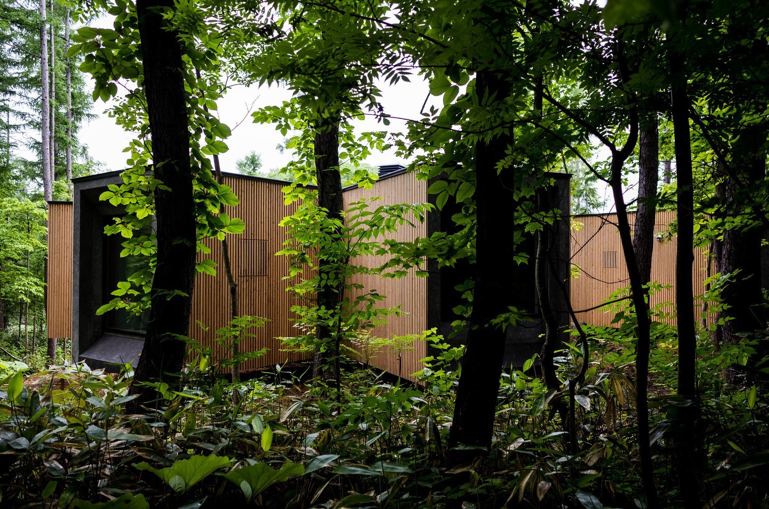 House in the Forest by Florian Busch Architects in Rankoshi, Japan House in the Forest by Florian Busch Architects in Rankoshi, Japan