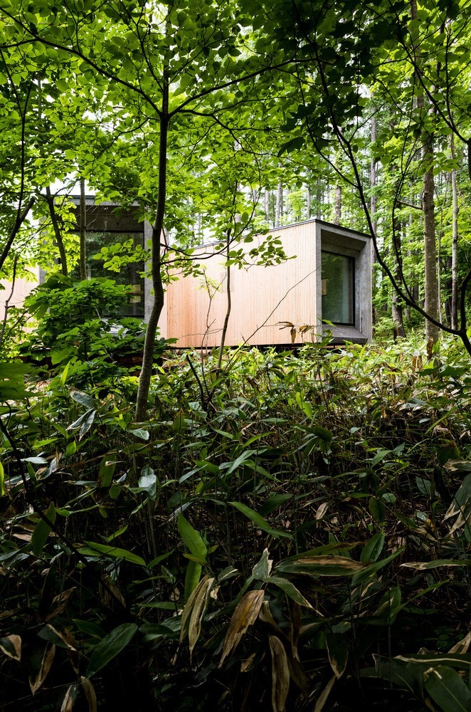 House in the Forest by Florian Busch Architects in Rankoshi, Japan House in the Forest by Florian Busch Architects in Rankoshi, Japan