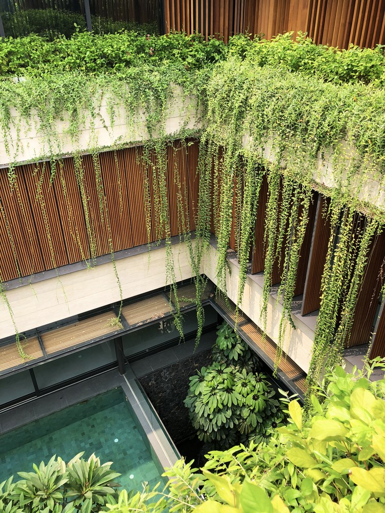 Water Garden House by Wallflower Architecture + Design in Tanglin, Singapore Water Garden House by Wallflower Architecture + Design in Tanglin, Singapore