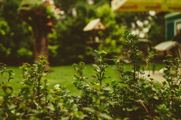 Creative Garden Decor Ideas You Should Try at Home