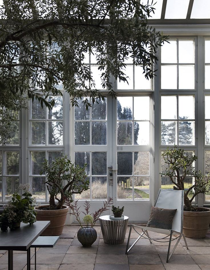 Small winter garden: how to do it and tips Small winter garden: how to do it and tips