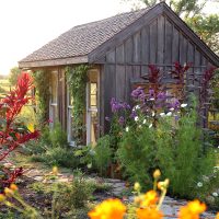 A Rustic little wooden cottage style garden shed is surrounded by beautiful, colorful summer flowers.
