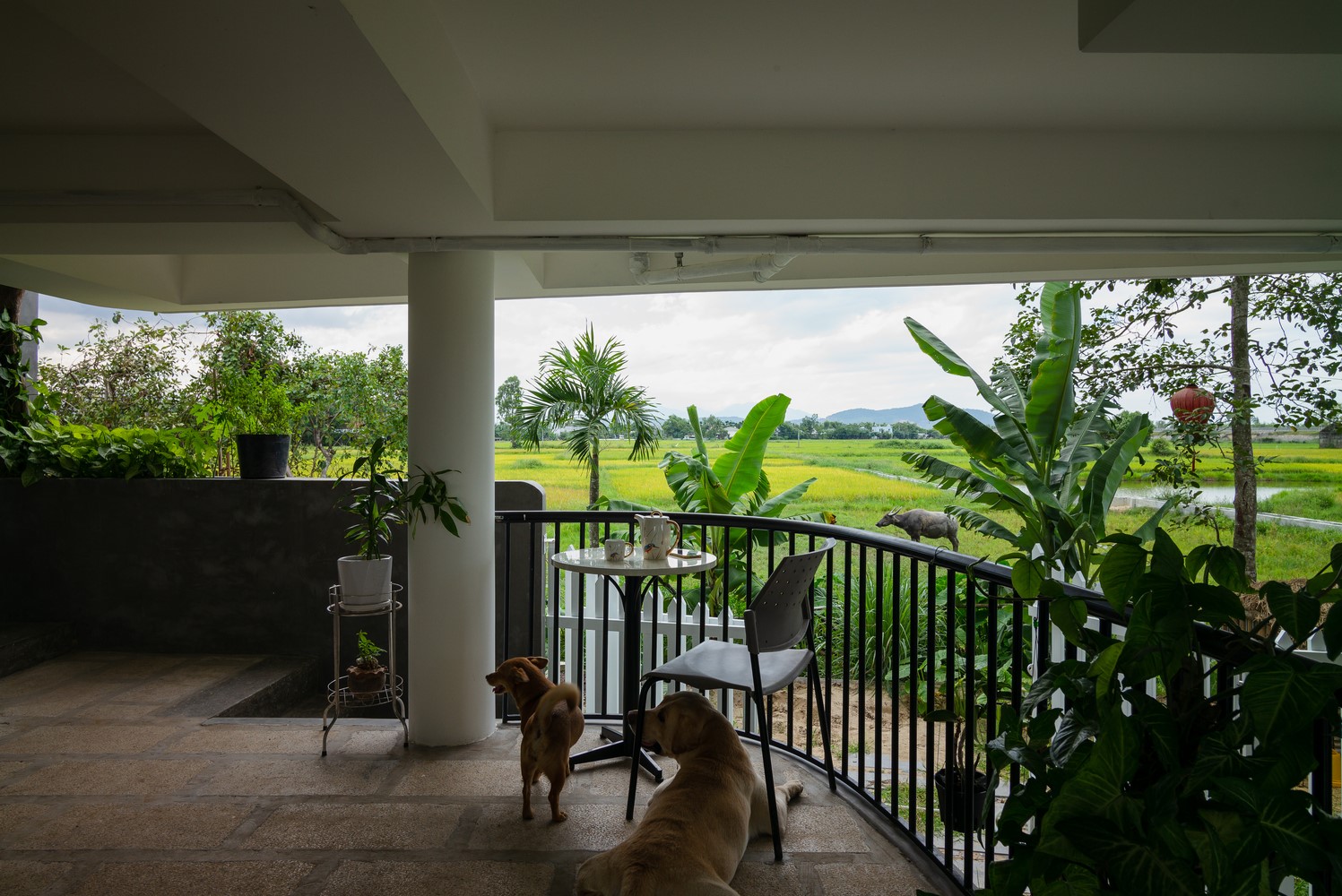Fairytale House by Hinzstudio in Vietnam